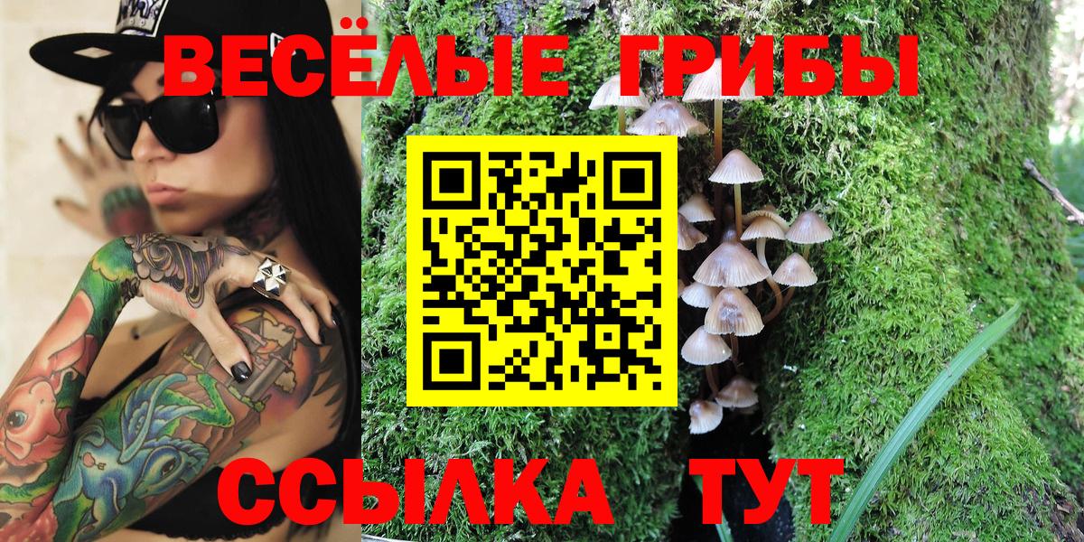 Псилоцибиновые грибы прущие грибы Красный Сулин